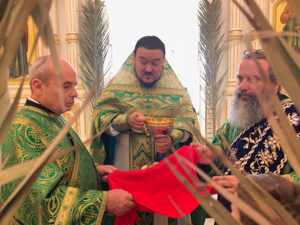 Праздник Входа Господня в Иерусалим - Вербное воскресенье. 