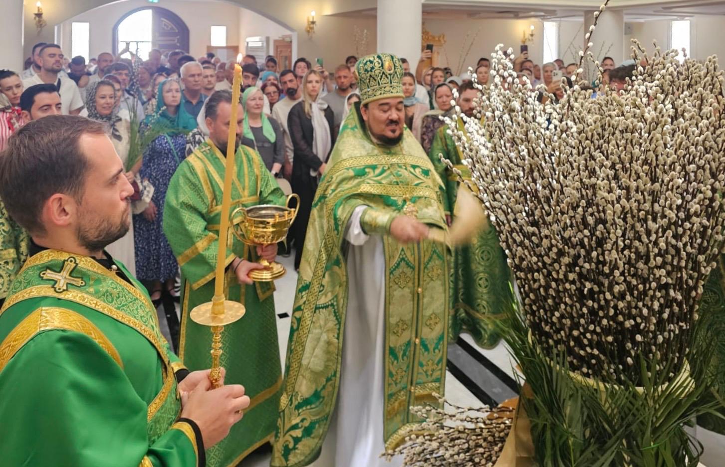 Праздник Входа Господня в Иерусалим (Вербное воскресенье).
