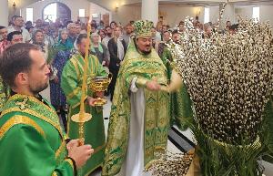 Праздник Входа Господня в Иерусалим (Вербное воскресенье).