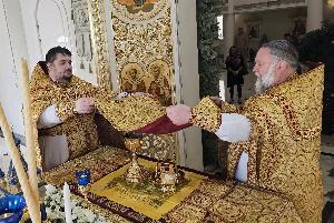 День памяти святителя Саввы ll, архиепископа Сербского.  